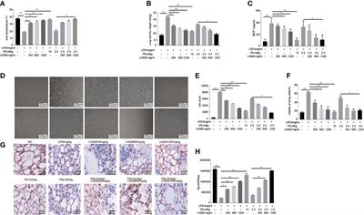 Lian Hua Qing Wen Capsules, a Potent Epithelial Protector in Acute Lung Injury Model, Block Proapoptotic Communication Between Macrophages, and Alveolar Epithelial Cells